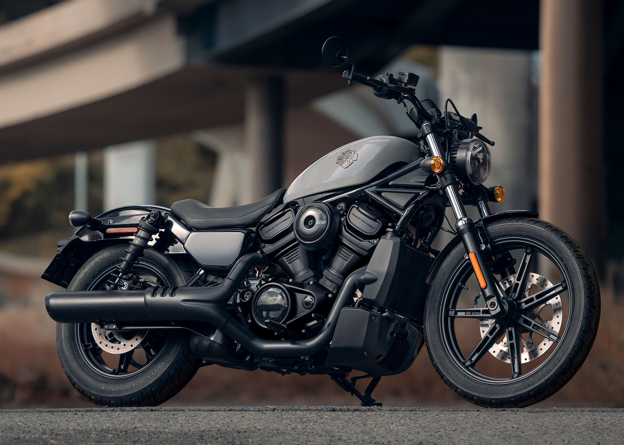Nightster